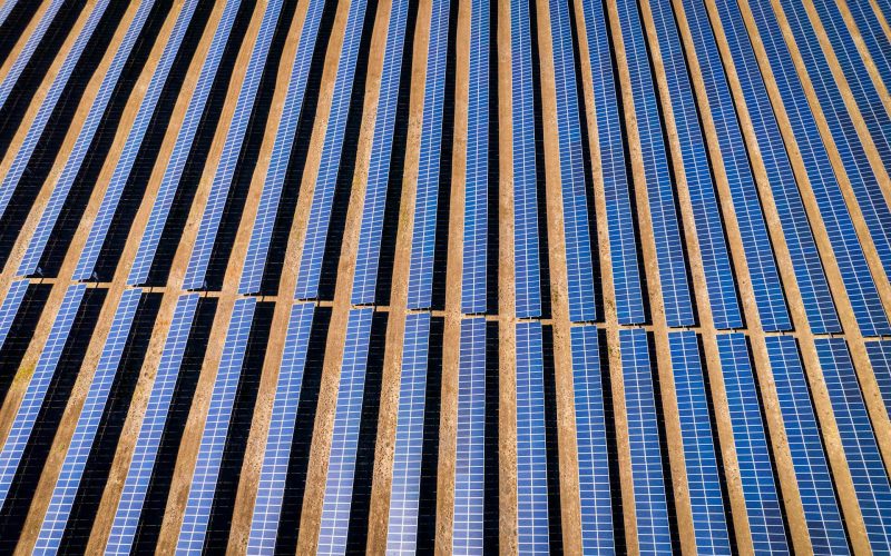 pexels-nc-farm-bureau-mark-15751141